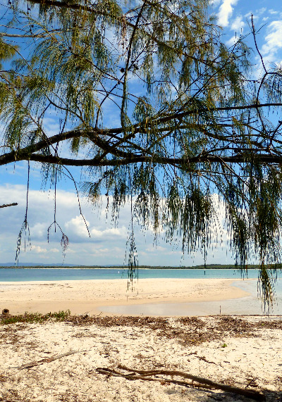 Seeing the beach and the sea through the she oak trees