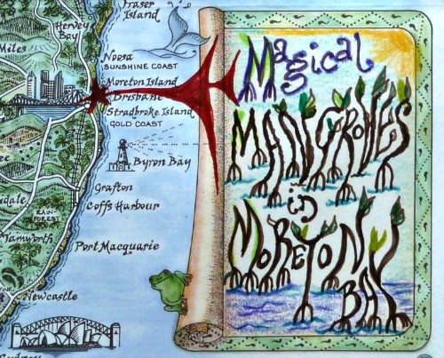 mangroves moreton bay